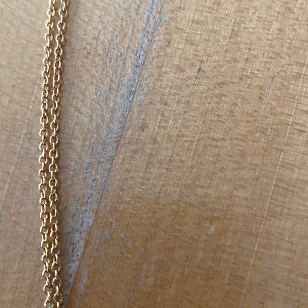 Gorjana Mave Lariat Necklace - Picture 5 of 7